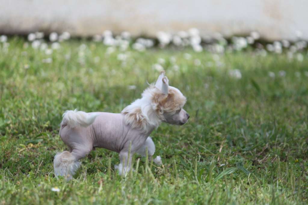 Moon Harbour Nirvana