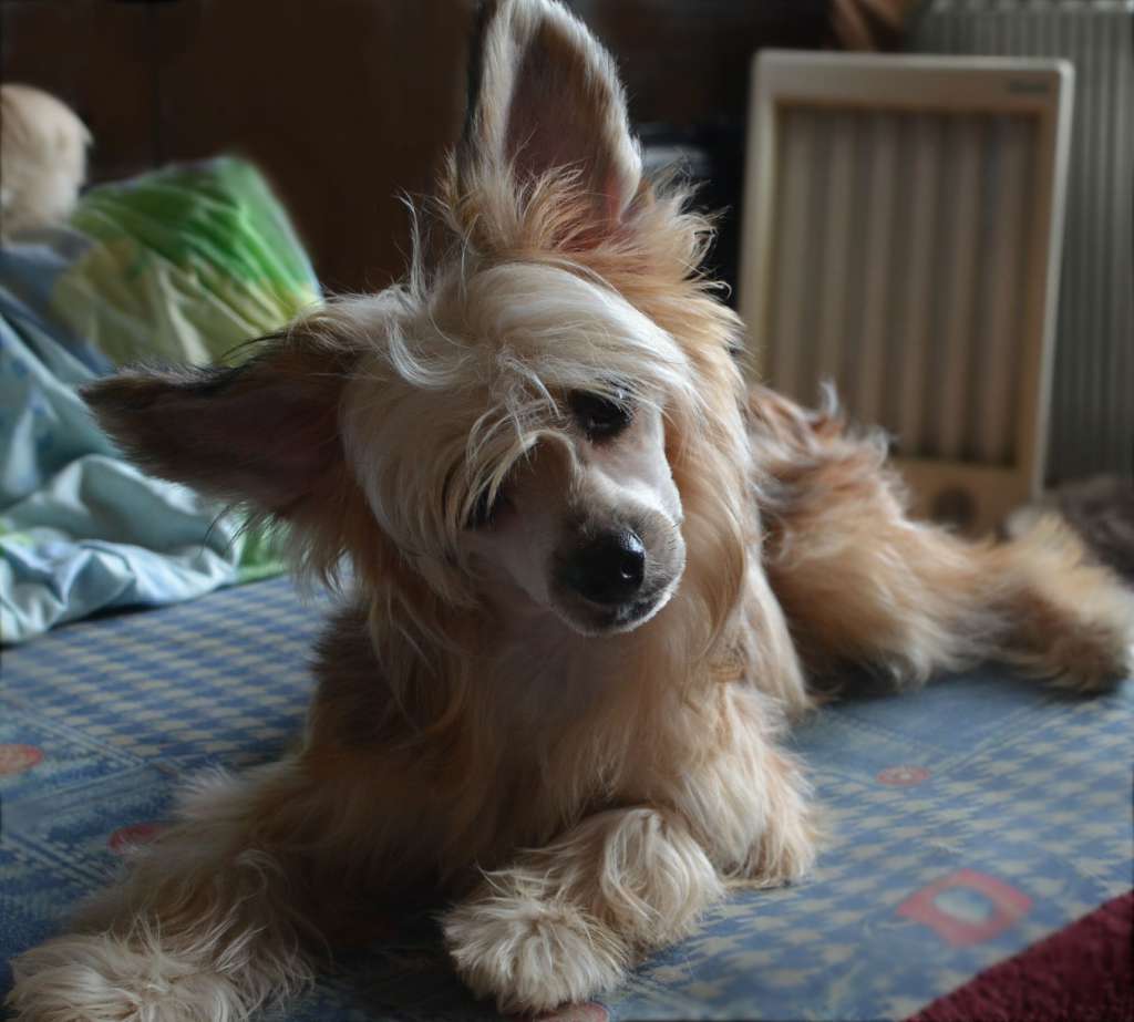 Magic of Success Big Time