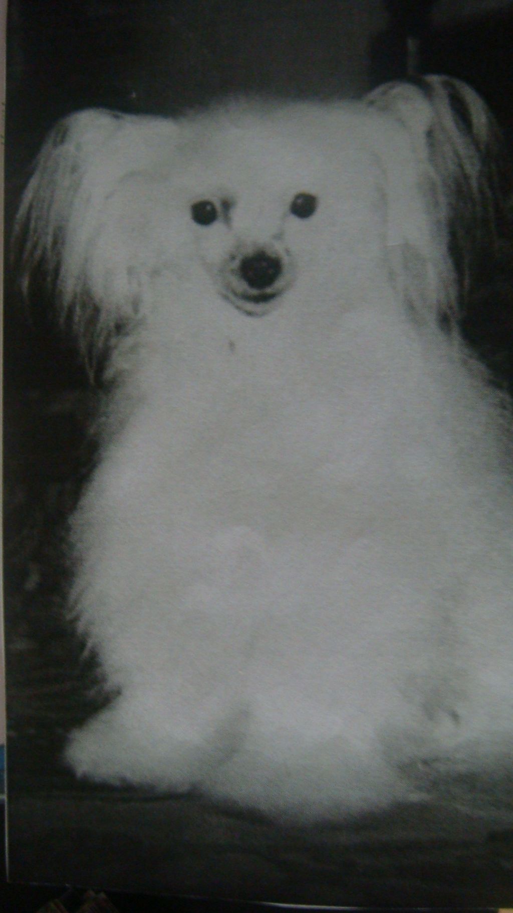 Picture