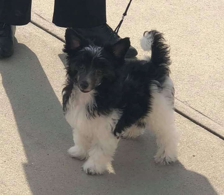 Lyric Town Yuki Tunes