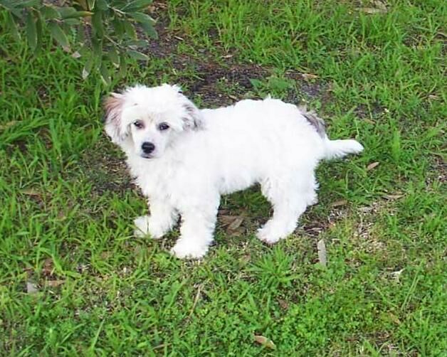 Kazlyn Cloud Oth Horizon