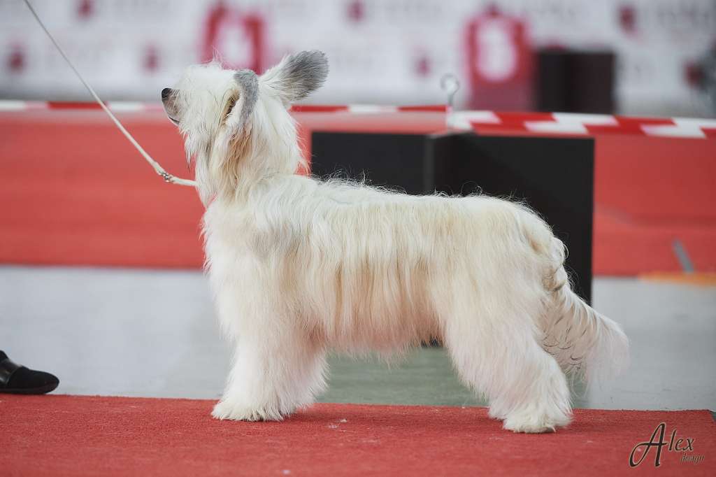 Kraspamir Honey Pepper