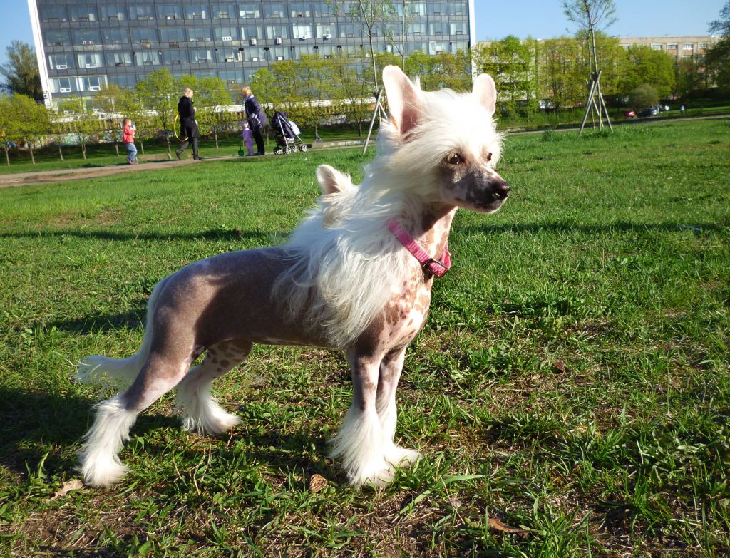 Futureline Felicie Zephyr