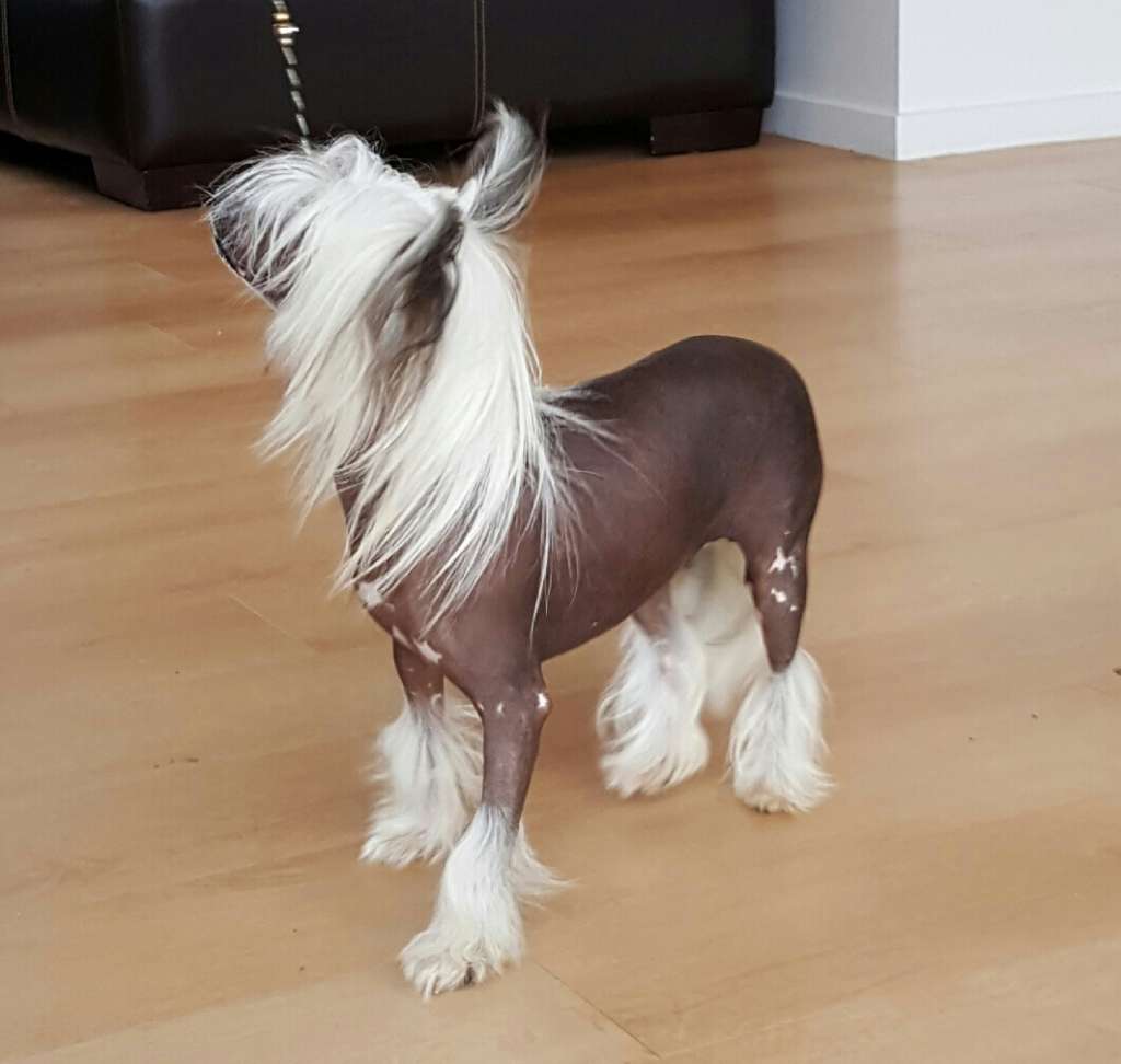 Koreke Cause N Effect