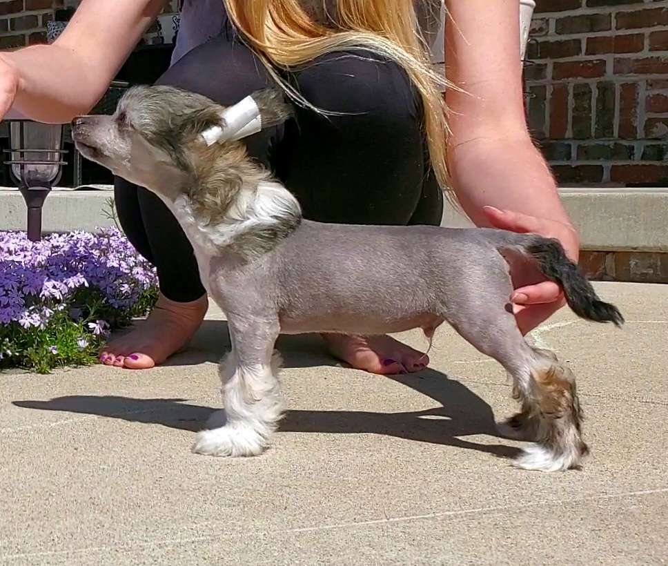 Klearly Worth the Wait