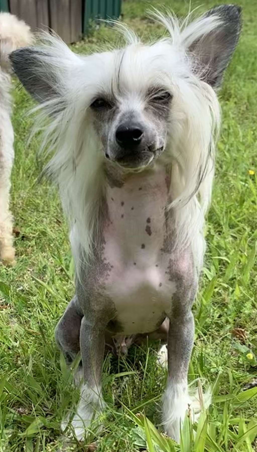 deBahTrio Uncensored With Respect