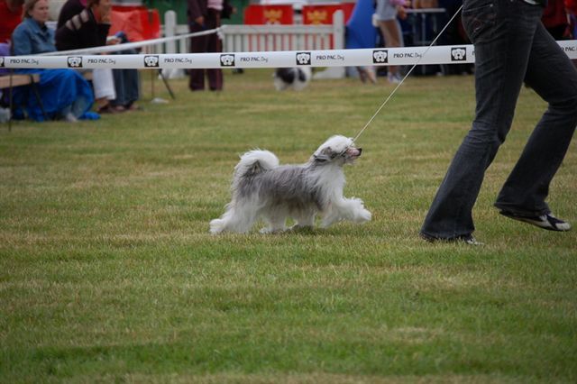 White Affair's Indya Isadora