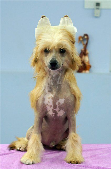 Meant To Be iz Diamond Sity