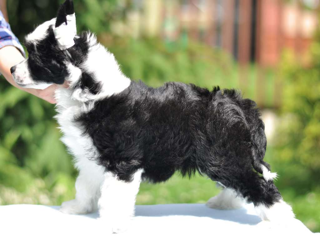 Arwena Modern family