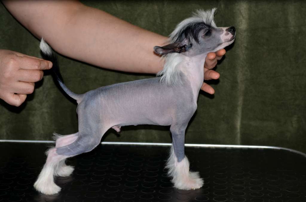 Magic of Success Mason