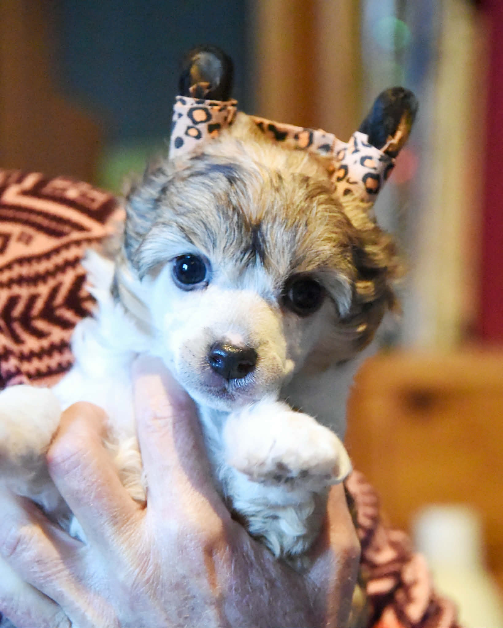 Jean Dark Never Ending Story