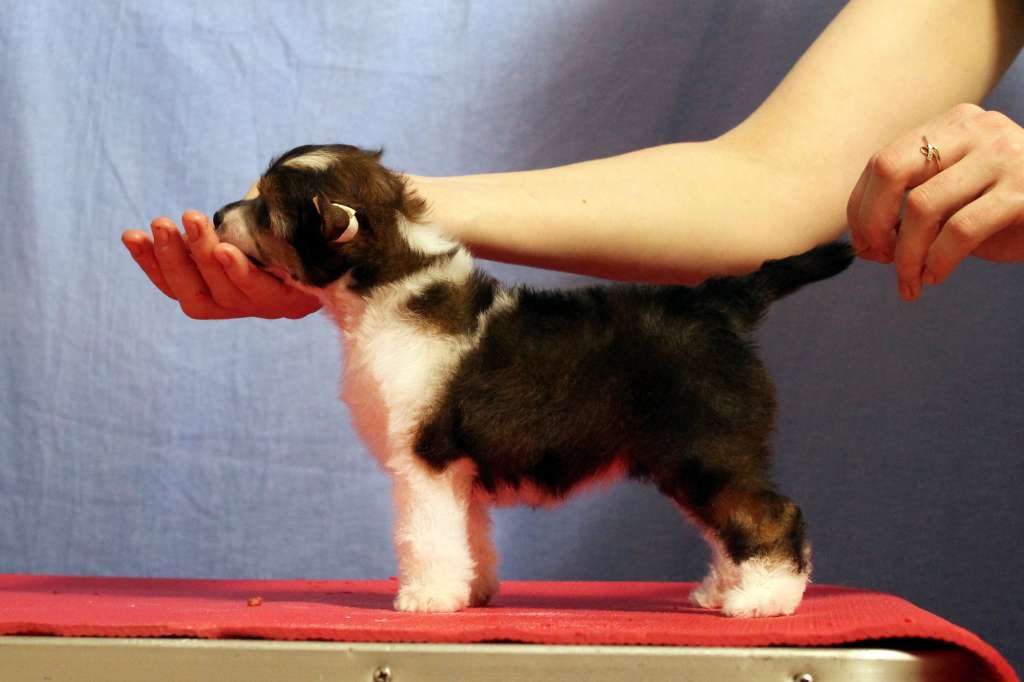 Via Della Seta Lasting Impression