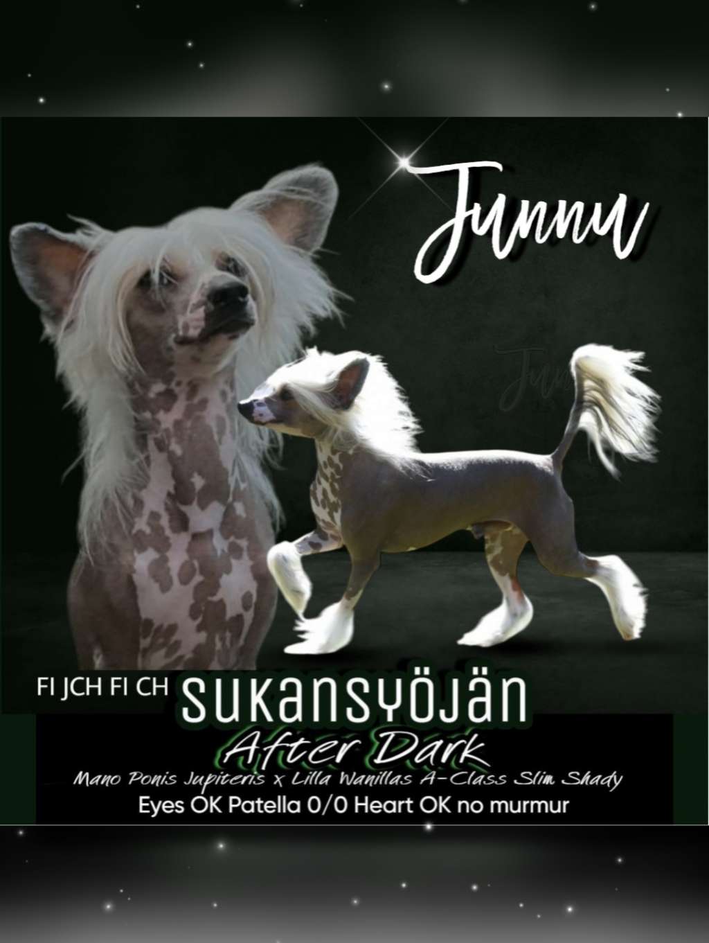 Sukansyöjän After Dark