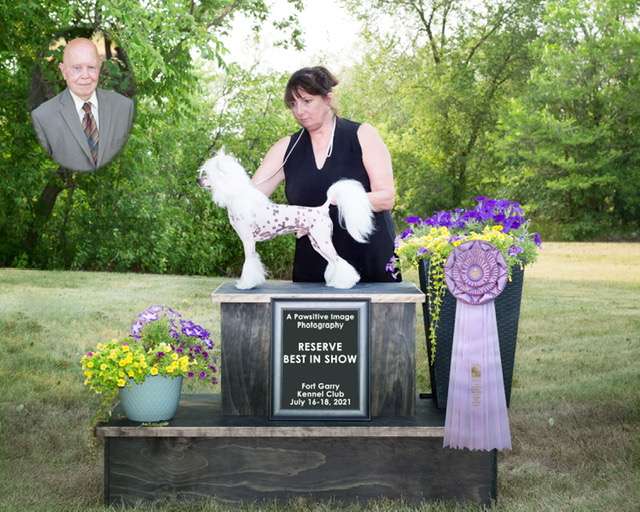 Ethereal's I Don't Want To Miss a Thing