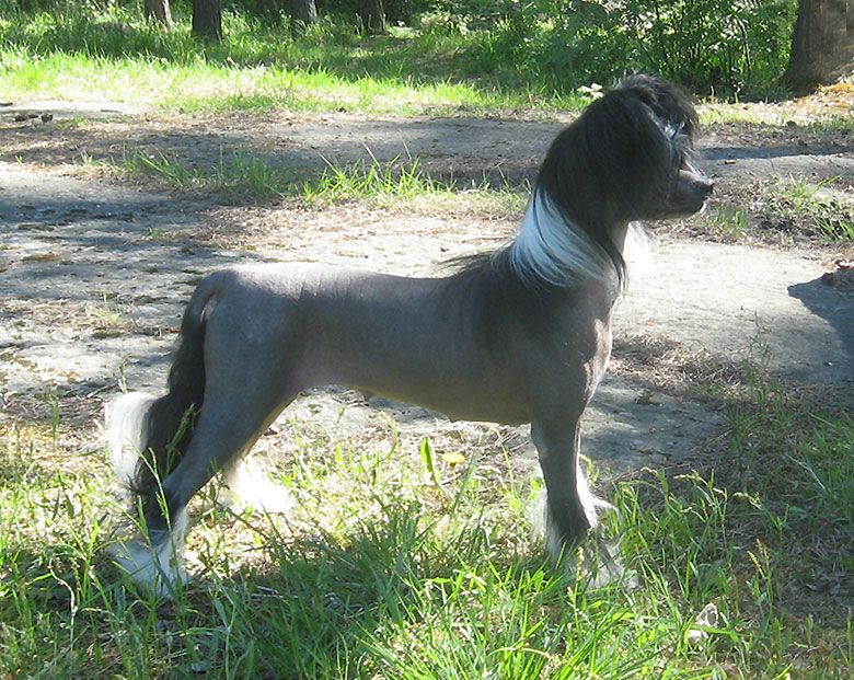 Stormblåstens Spellbound