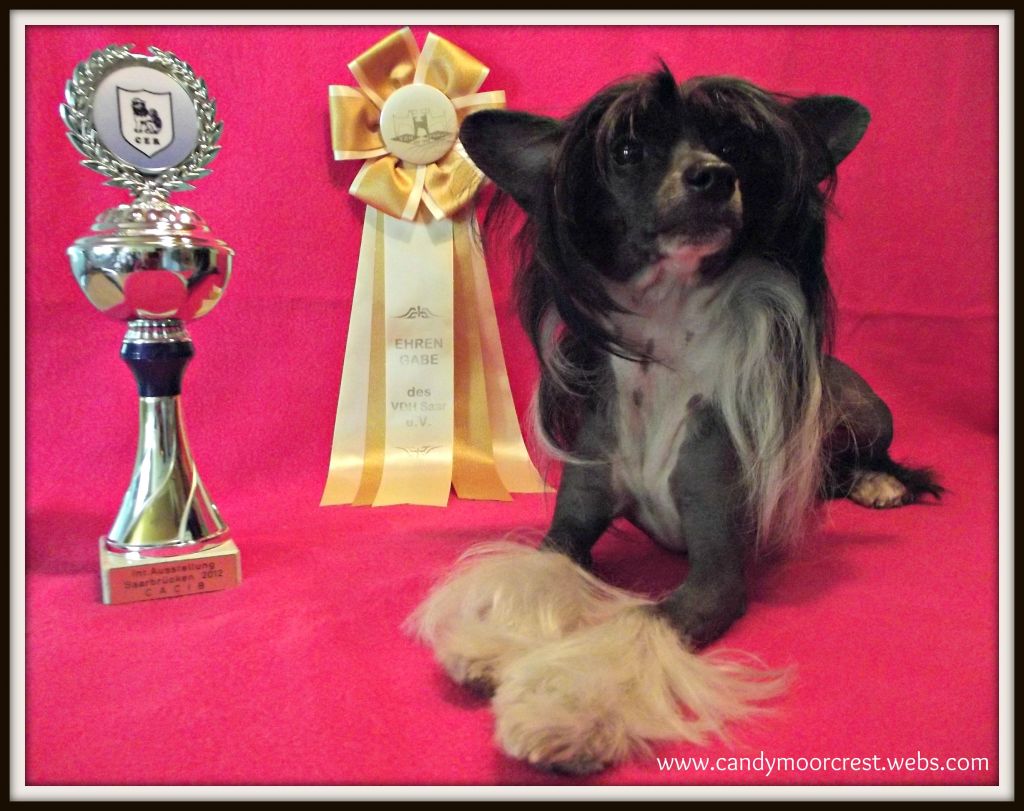 A Dream Comes True of Candymoor Castle