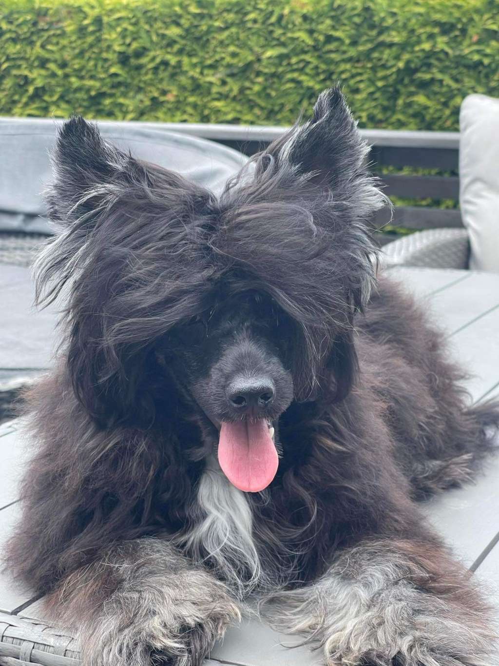 Absolute Souls Secret Mystery