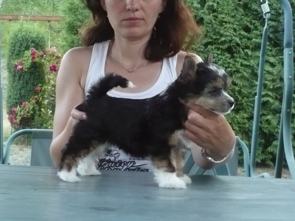Picture