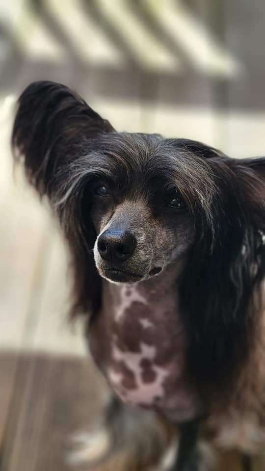 Klearly A Cutie With A Booty