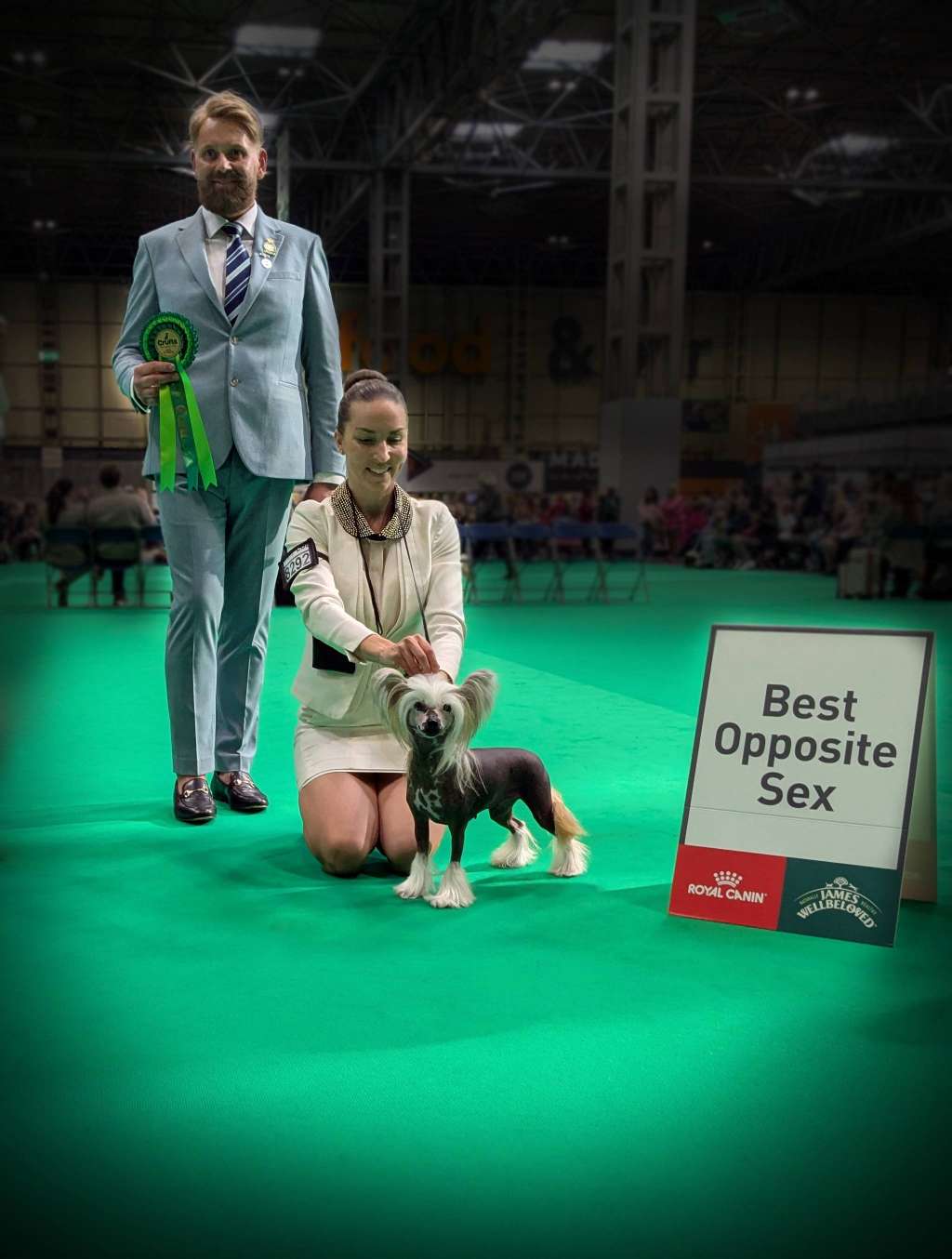 Sirocco Go Big Or Go Home