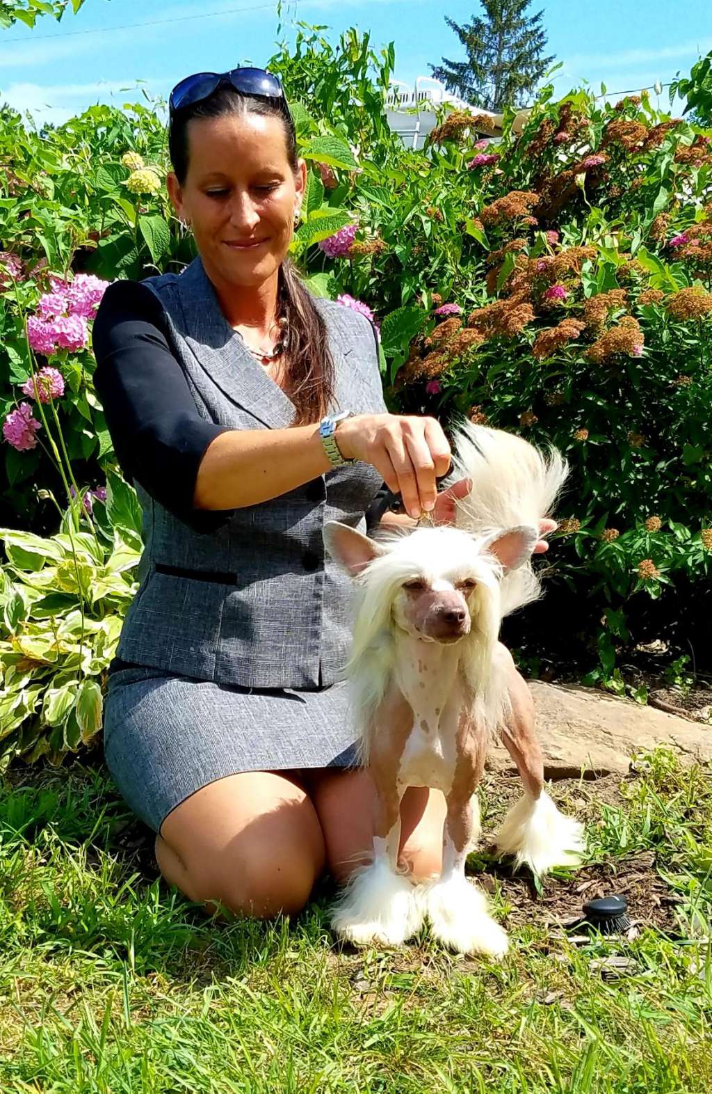 Picture