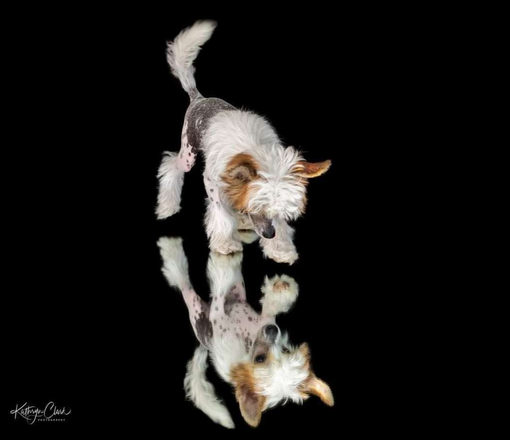 Natural's Love Like You