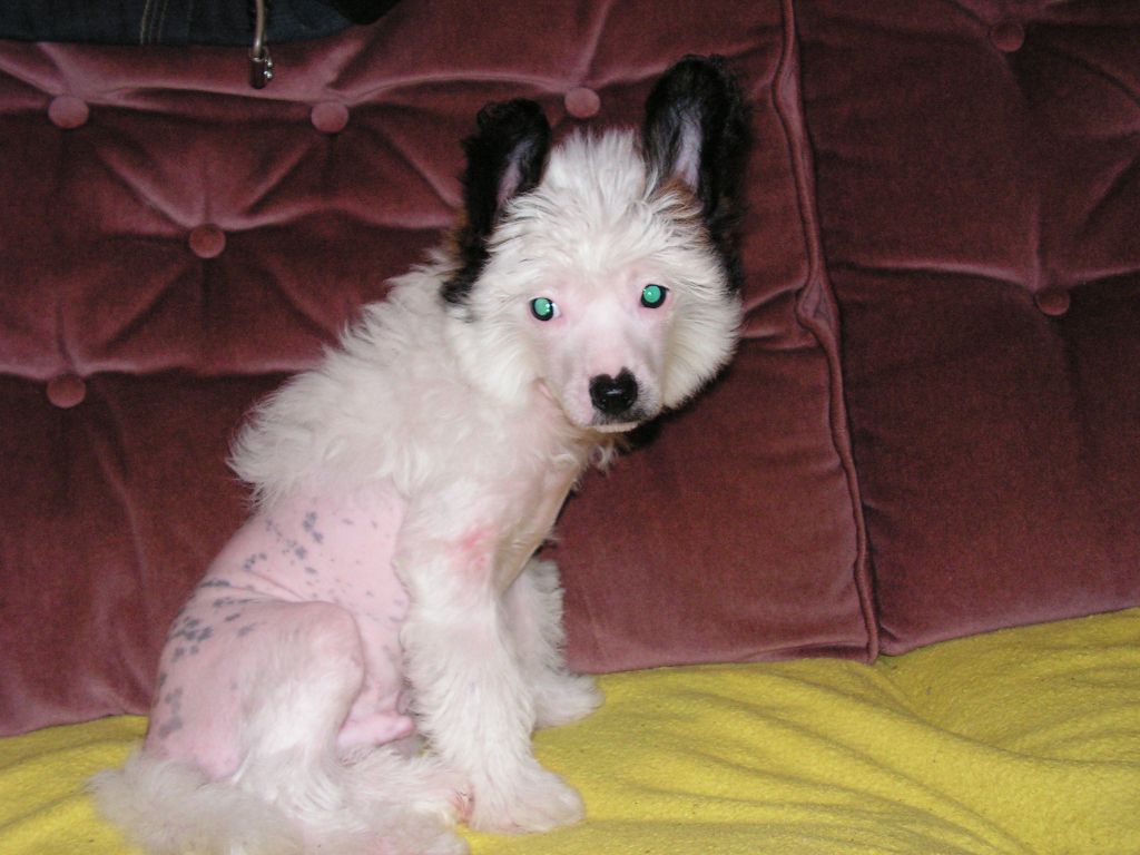 Mak Even Just Beauty