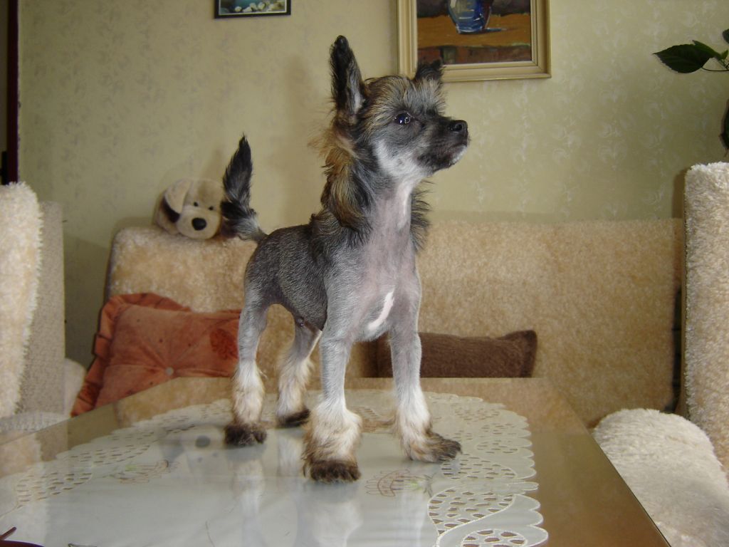 Picture
