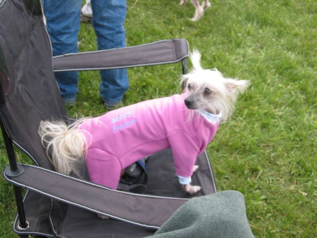 Thianna's Flexible Frannie