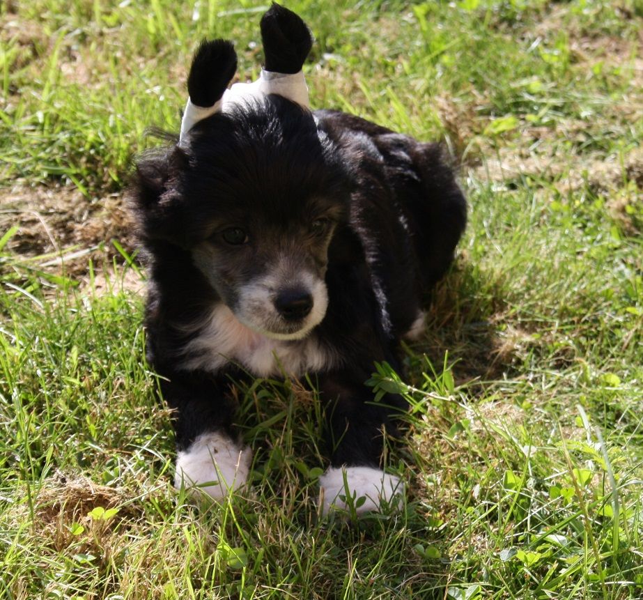 Valanyan La Isla Bonita