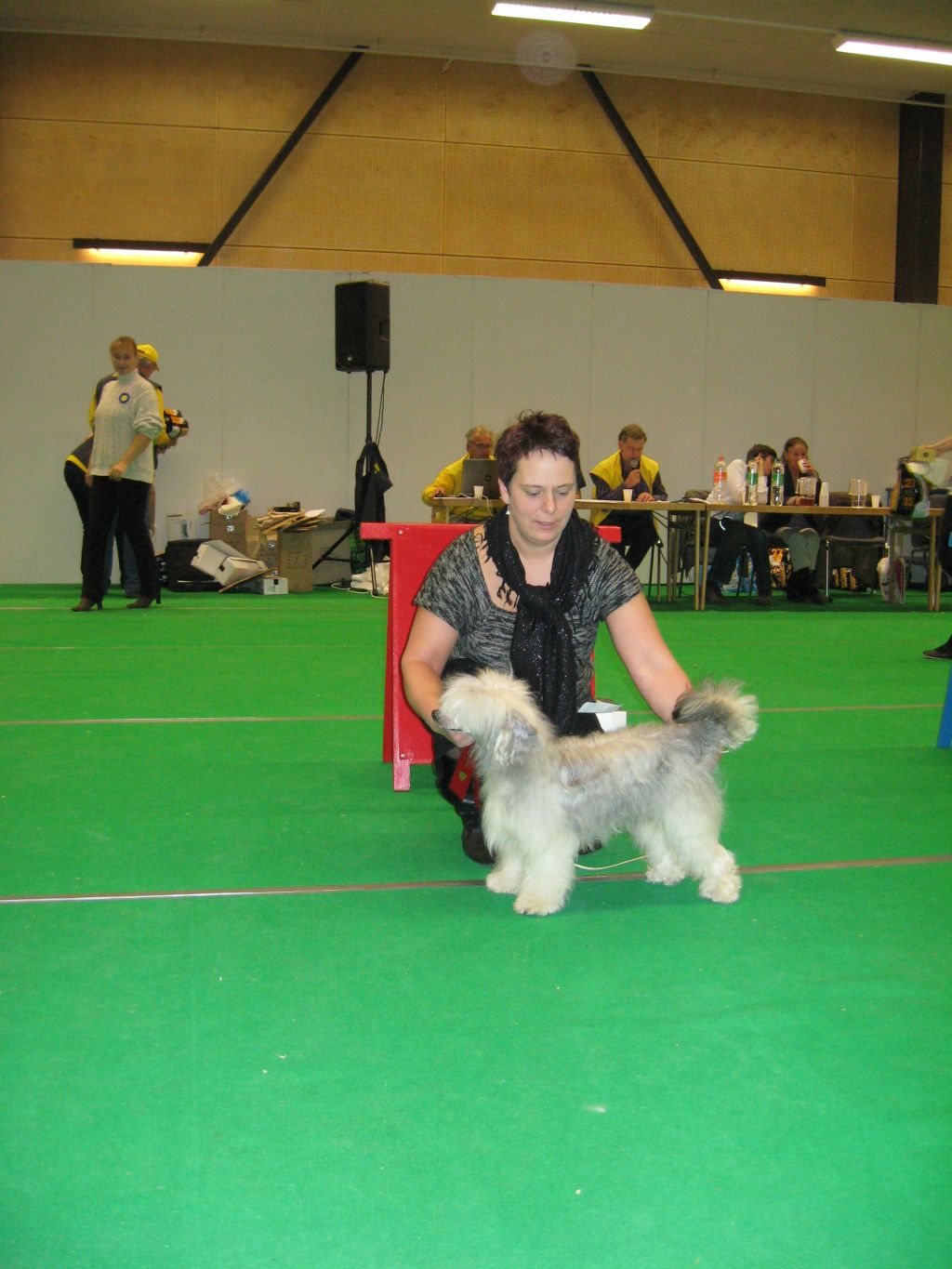 Koynaur's Defening Style