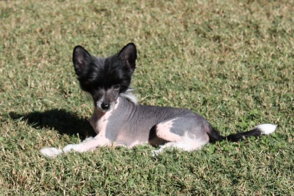 Belews Time Will Tell