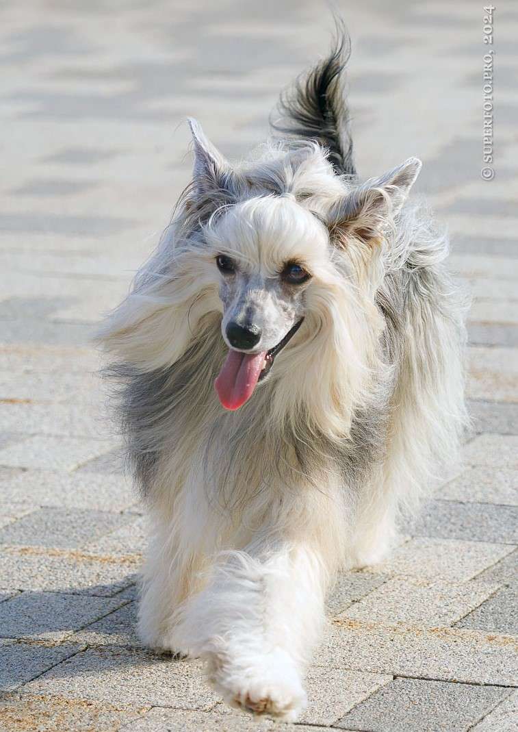 Zimnyaya Vishenka iz Chudnoy Doliny