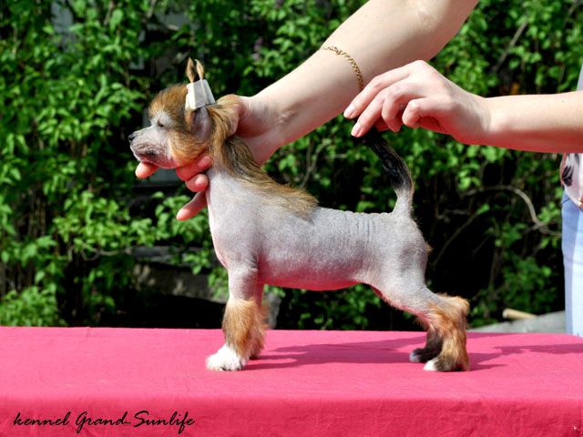 Grand Sunlife Margaret Thatcher