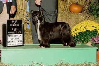 Silver Bluff Five O'Clock Shadow