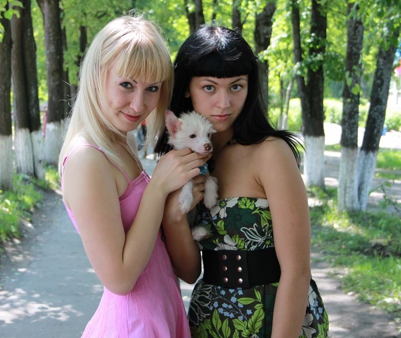 Picture