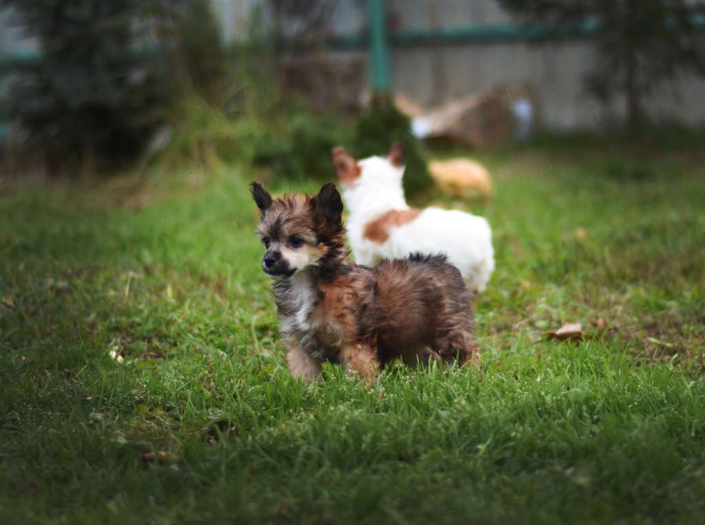 Baikal Dream Please dont  stop