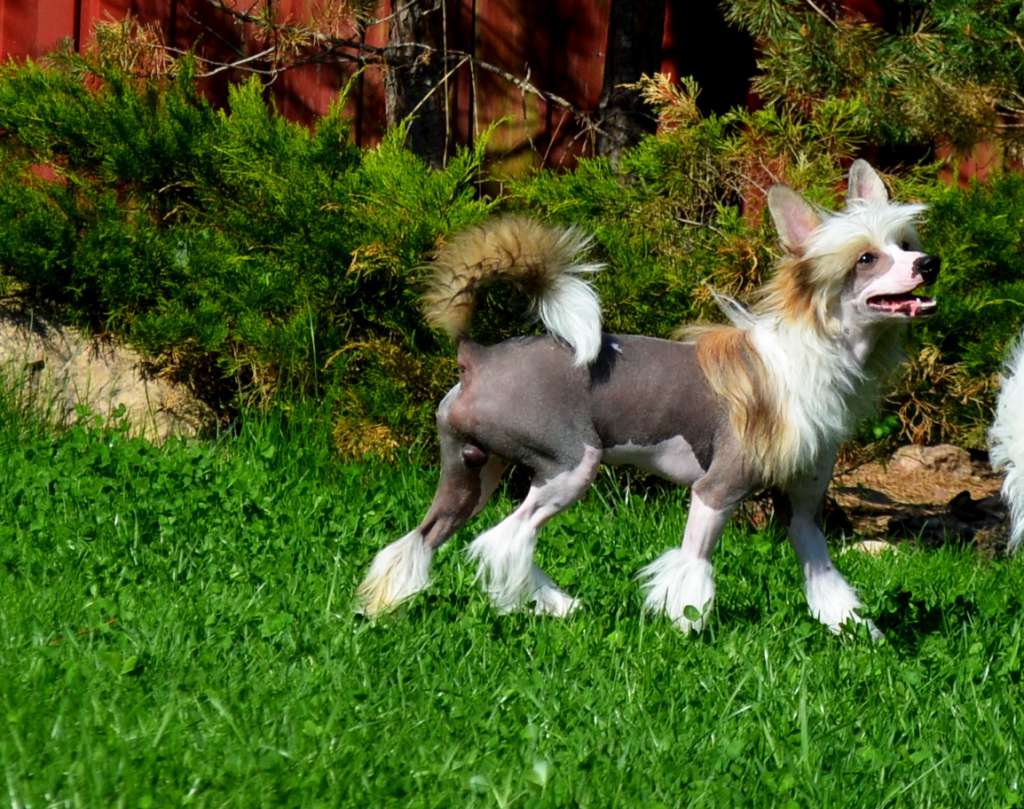 Etno Spirit Tight With You