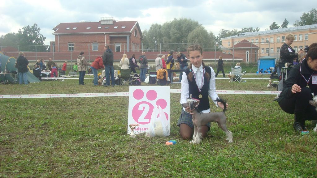 Picture