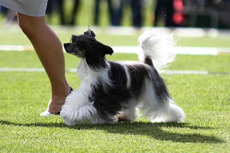 Silent Key's Ray Of Sunshine