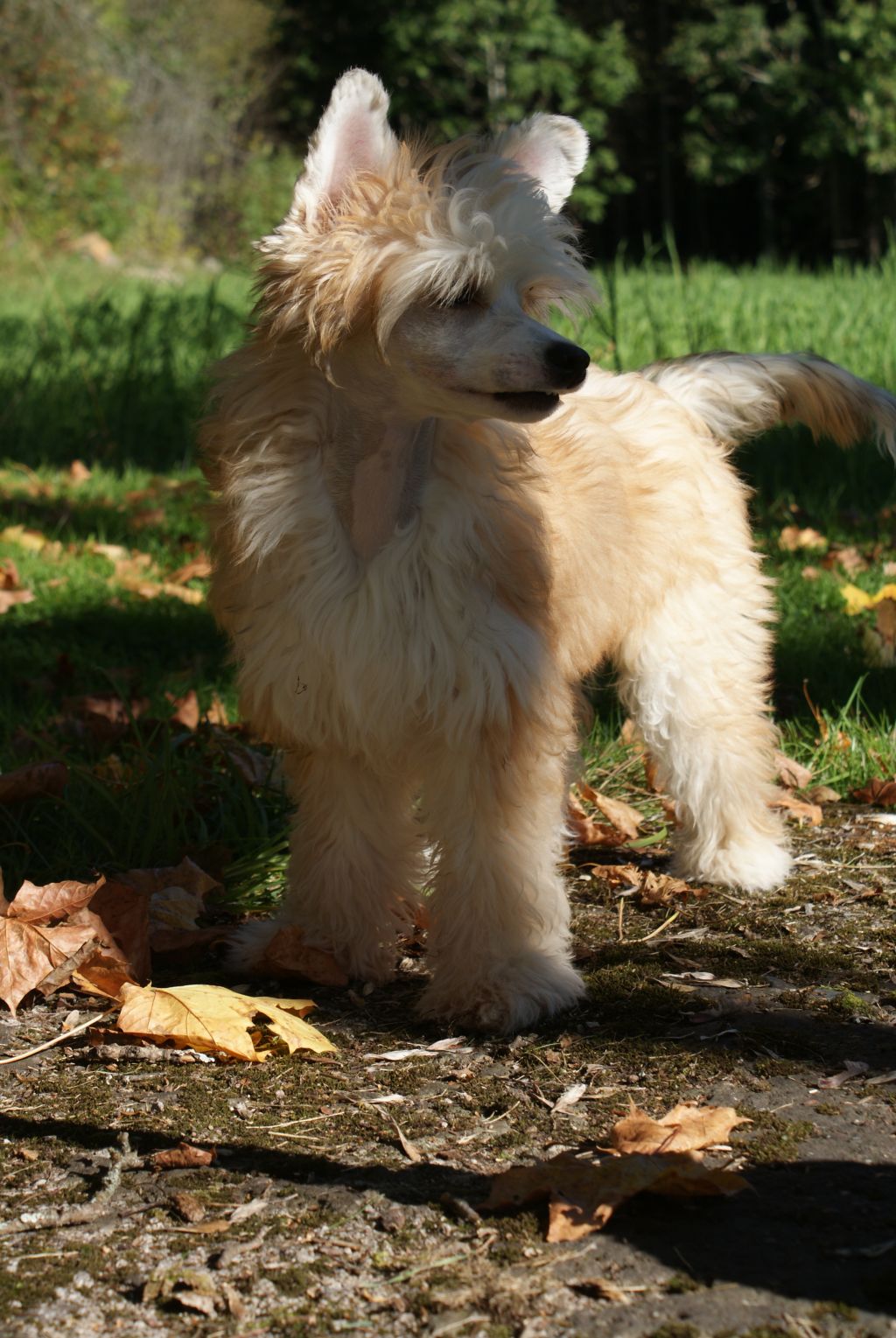 Way More Awesome Than You