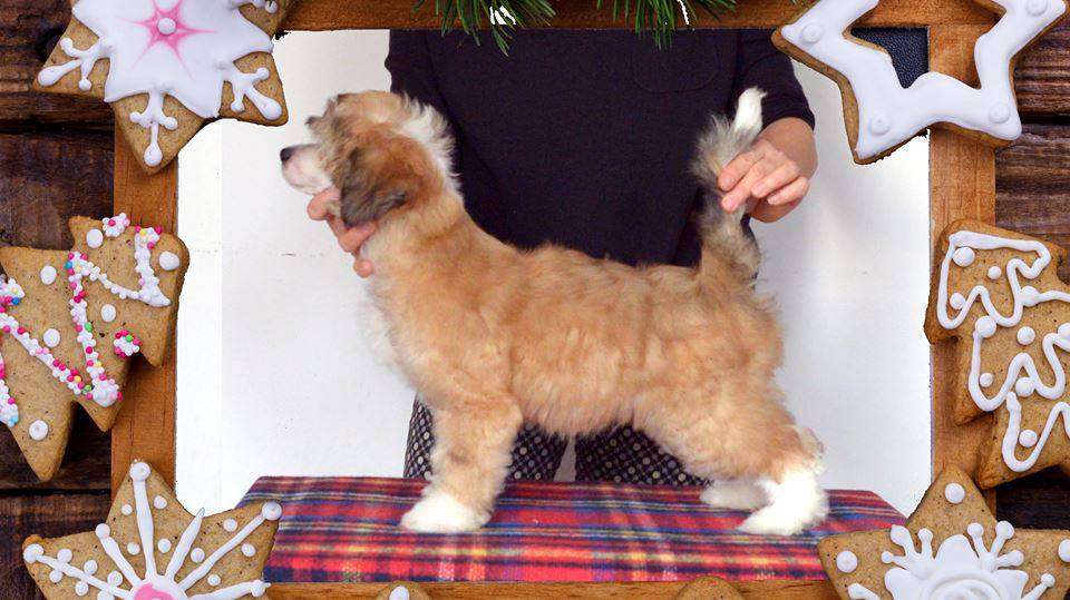 Secret I Szczescie Pelne Blasku