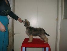 Sun Dan Angel's Magic