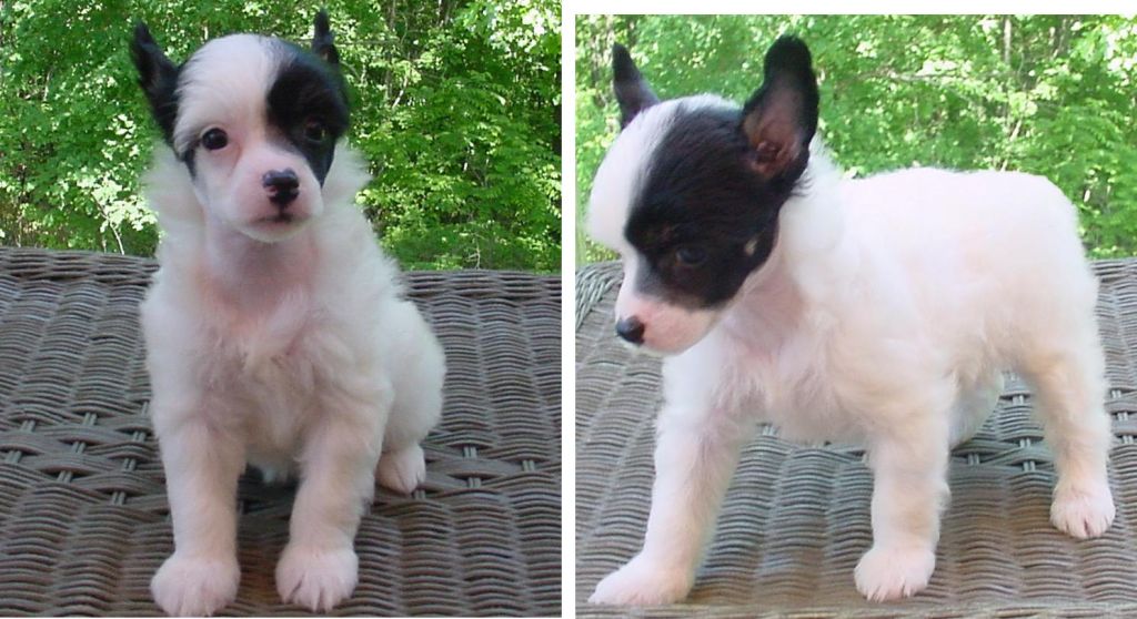 NH5Mooskla best4last sol-orrtrip