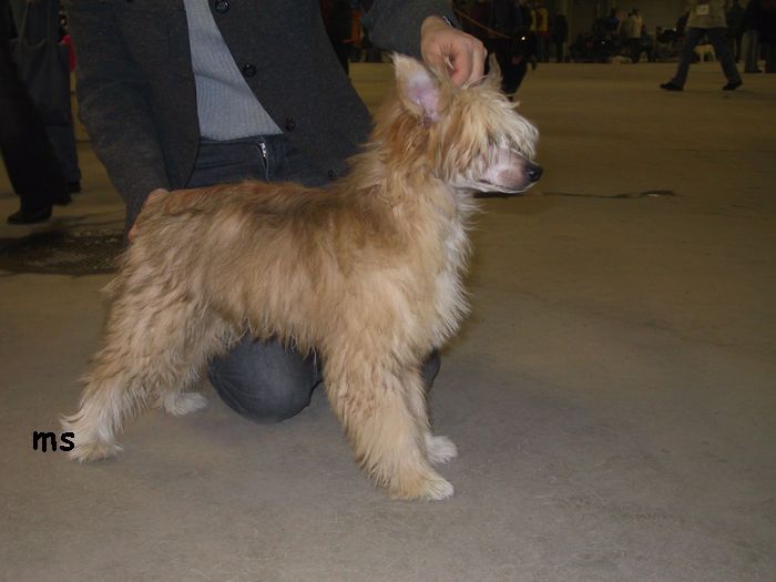 Joyway's Legend Has It