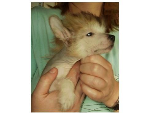 Ready Steady Go de GabriTho 