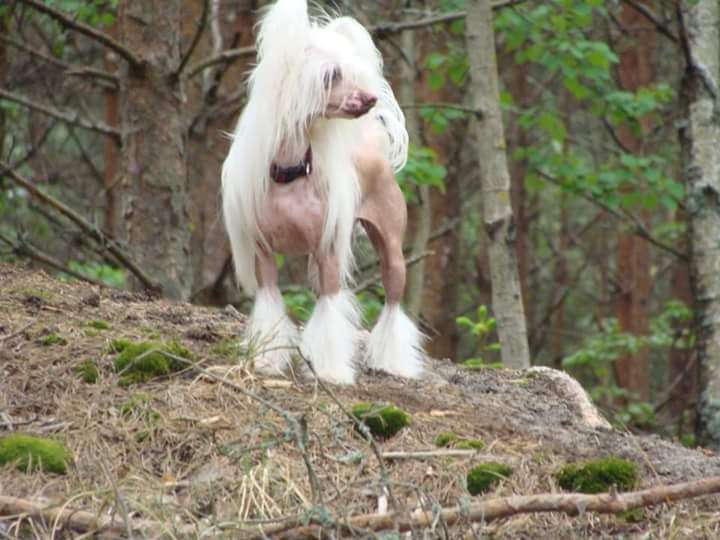 Tournais Karma Is A Bitch