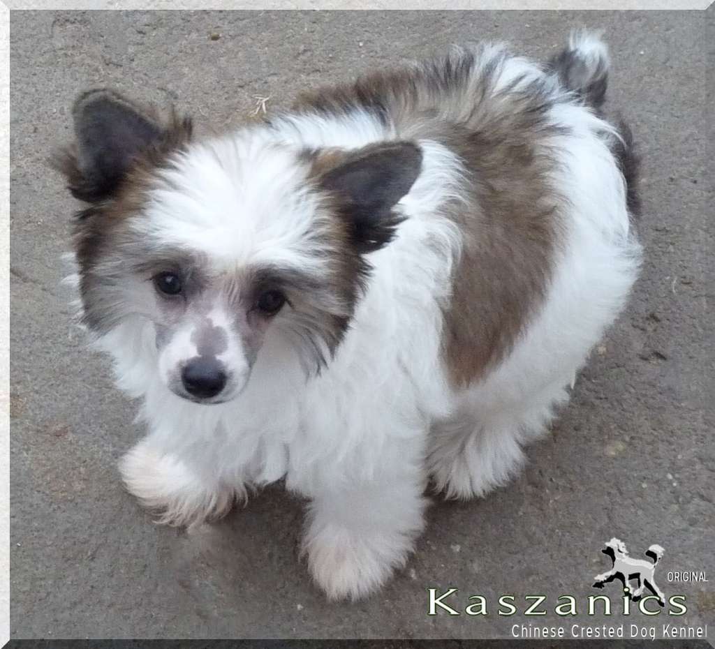 Fundoklia-völgyi Kaszanics Yasu