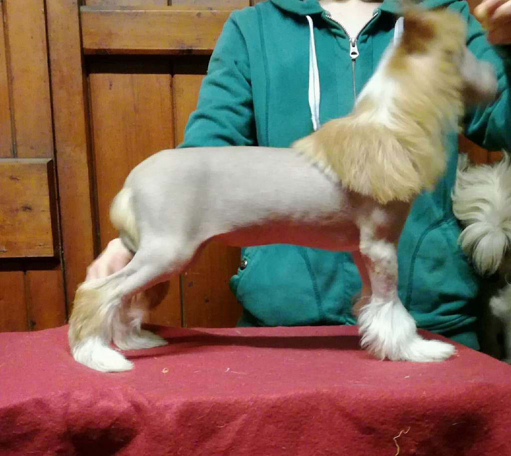 Parcauwen Secret Passion