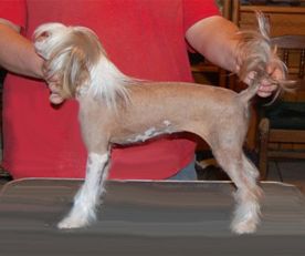 Serenity's Mad About You